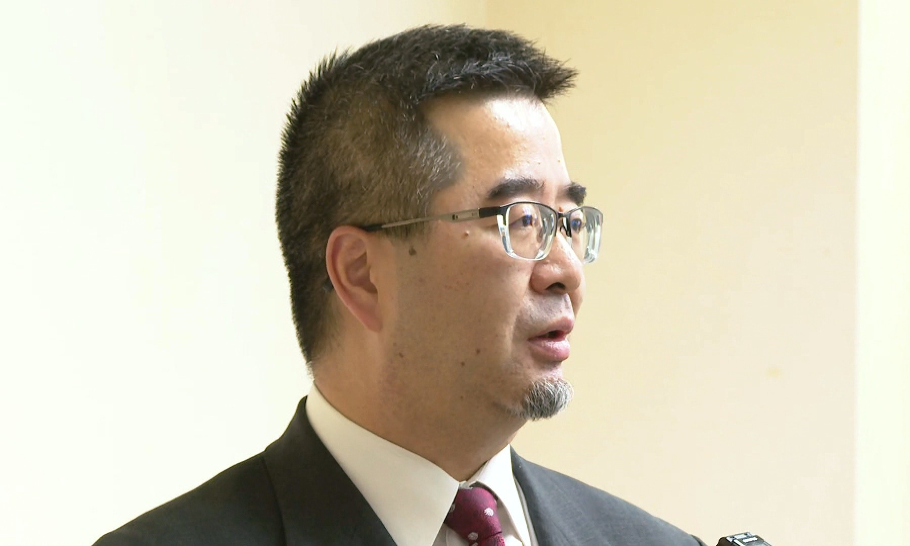 力挺黨主席鄭麗文「台灣不是國家」論　蕭旭岑稱言論符合憲法's story cover image