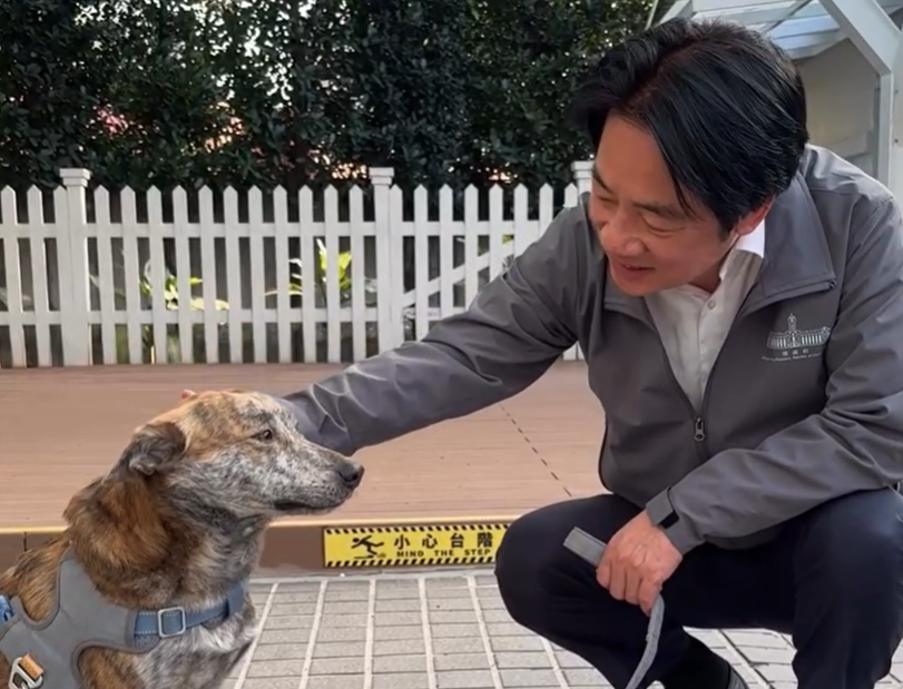 陳佩琪指柯文哲不如「殘障三腳狗」挨轟　賴清德曬斑斑溫情互動片's OG Image