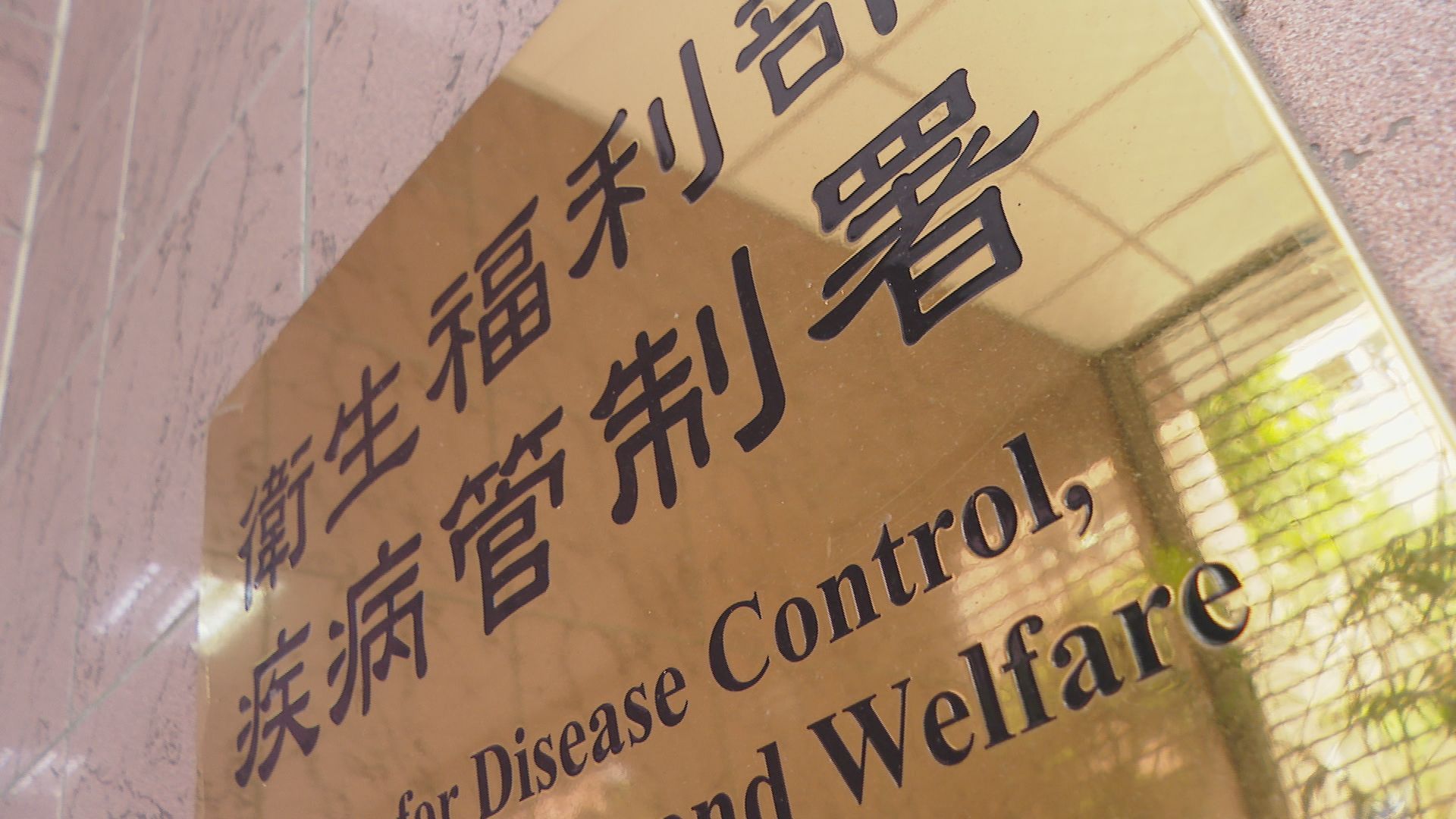 今年已累計19例！國內再增類鼻疽個案　50歲男脾臟長膿瘍險重症's story cover image