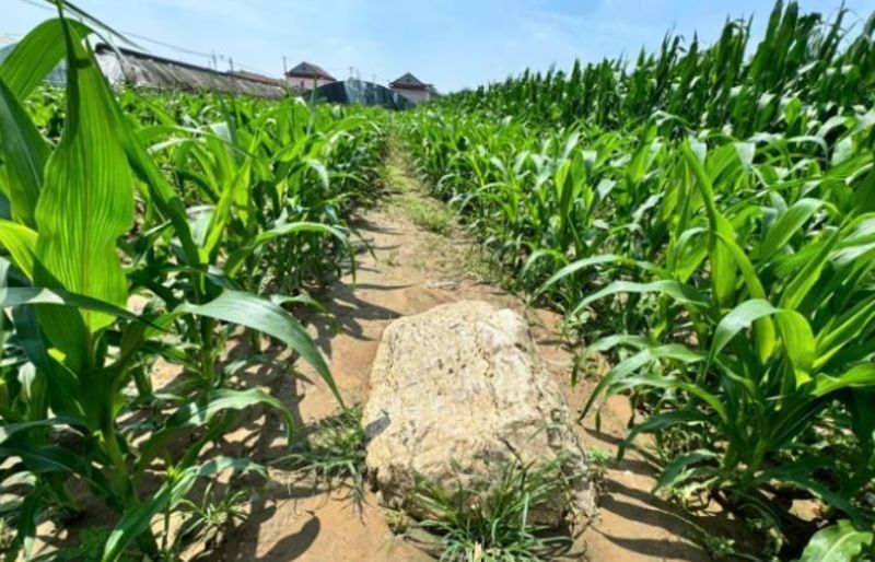 傻眼！中國最矮山「僅0.6公尺」還被列保護文物　網笑：一腳跨過一座山's story cover image