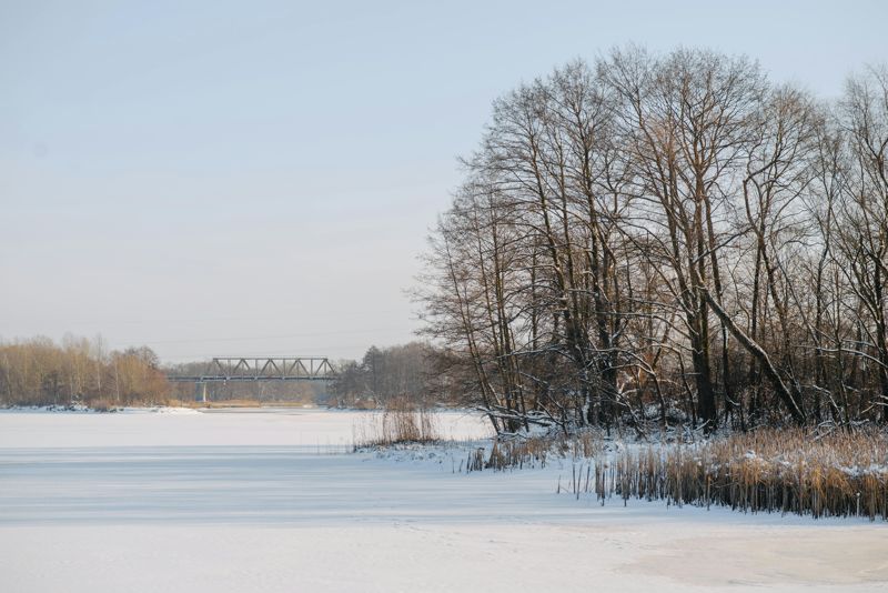 週六小雪！「4生肖」恐小病不斷　命理師揭開運養生祕方　's story cover image