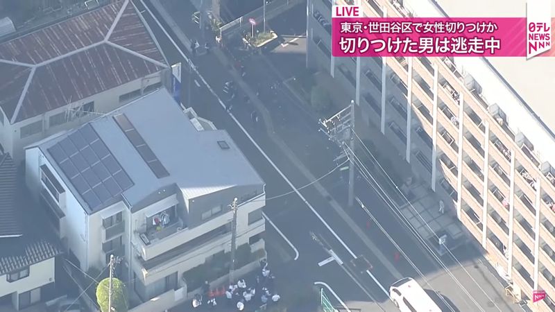 日本東京爆當街割喉！輕熟女「頸部噴血」倒路上　男犯嫌逃亡中's OG Image