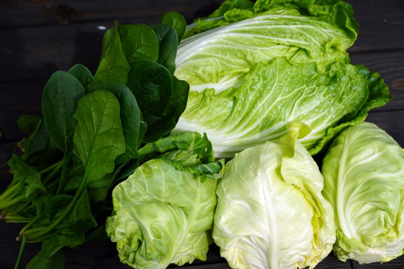 醫封百菜之王！男吃白菜3年「大腸粉嫩乾淨」　血壓、口臭也改善's OG Image