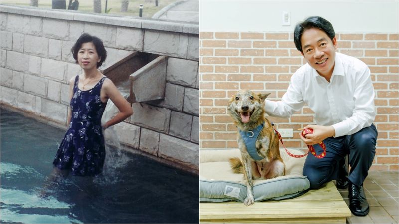 陳佩琪譏愛犬斑斑「殘障三腳狗」！　賴清德po照回擊：出門前多了分安心's OG Image