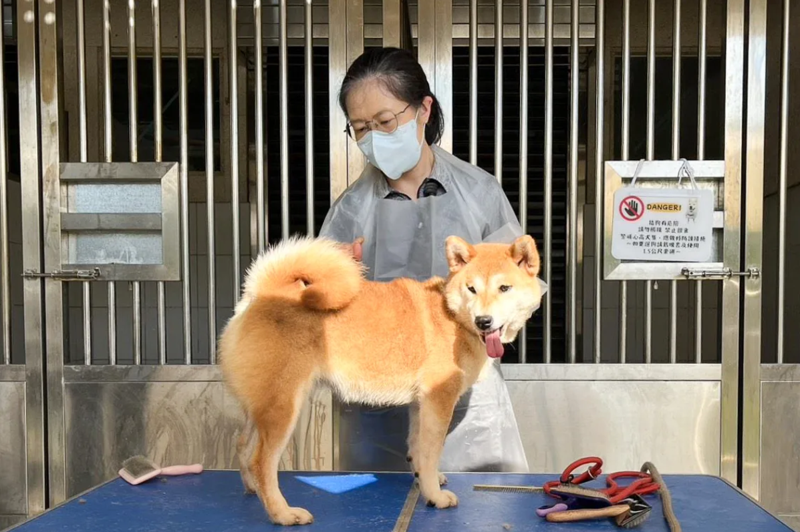 hero image