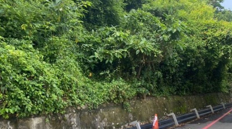 生前留「詭異紙條」謎樣內容曝　警衛巡邏驚見中山大學男大生陳屍校內停車場樹叢's story cover image