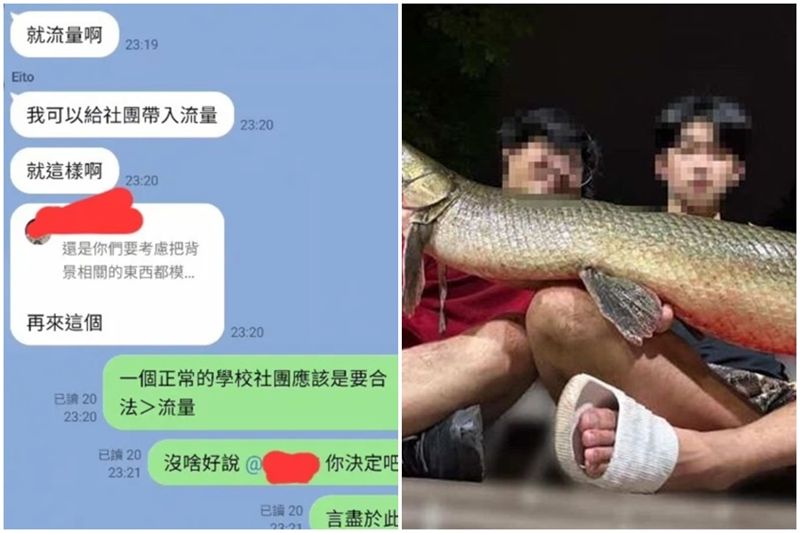 宰殺228公園吉祥物「成大校友身分遭起底」　創始社長「認了為流量」對話流出