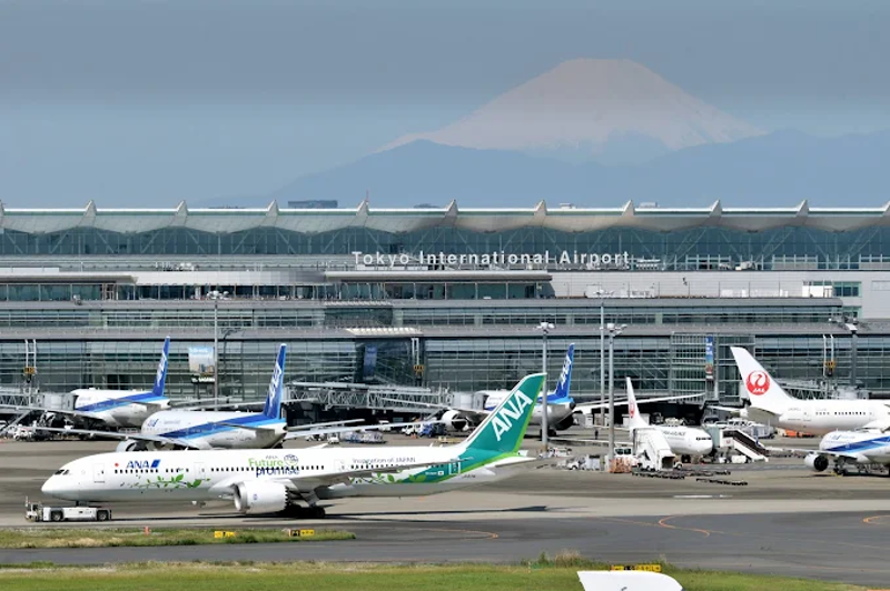 為5萬元幫網友託運貨品！64歲台男大馬走私「喪屍菸彈」到日本　落網辯不知情