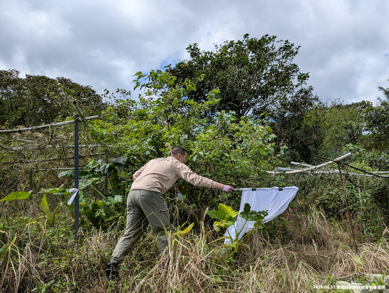 本土3年來首例「發熱伴血小板減少綜合症」！　傳染途徑、症狀一次看