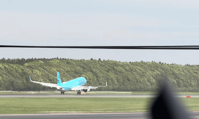 成田妖風發威！大韓航空降落驚險重飛「搖晃如紙片」　乘客崩潰：以為人生結束了