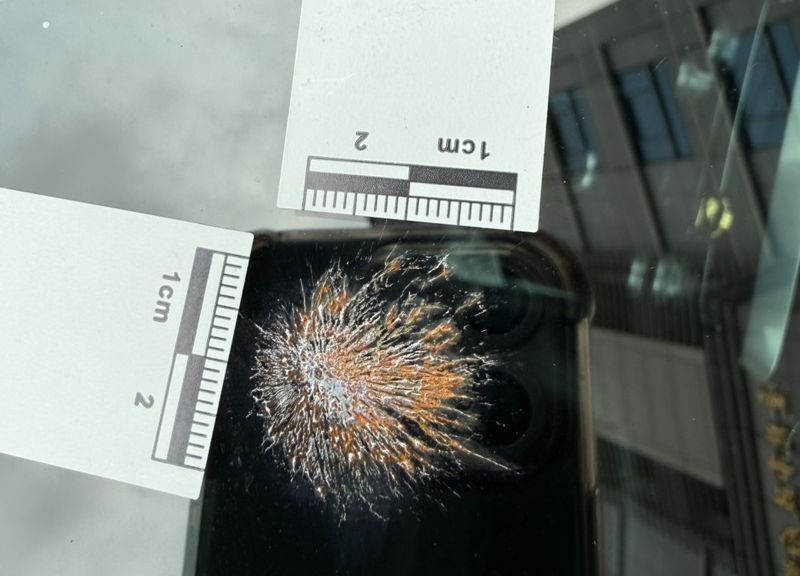 像極了槍擊！這坨鳥屎神還原「放射狀彈孔」　警採證後全場都笑了's OG Image