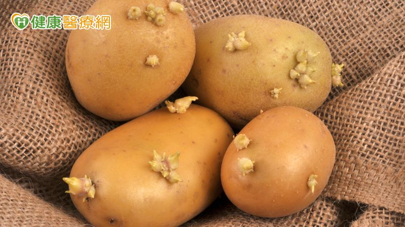 進口馬鈴薯食安爭議　食藥署：雙重檢驗「發芽腐敗整顆丟」's story cover image