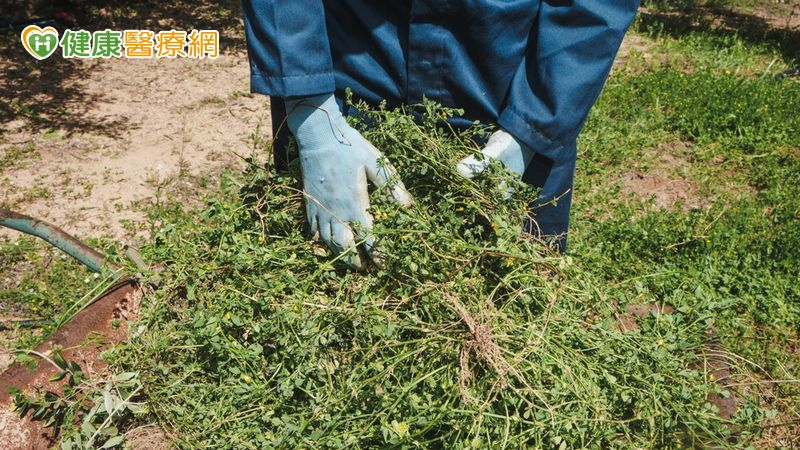 老翁遭蛇咬「以口吸毒」還帶「兇手」求救　醫示警：不當處置更危險's story cover image