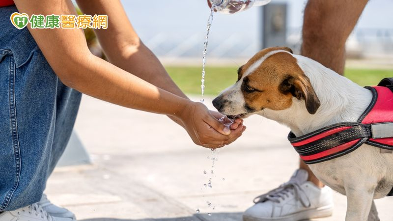 高溫來襲怎麼防熱傷害？國健署提供3大保命要訣's story cover image