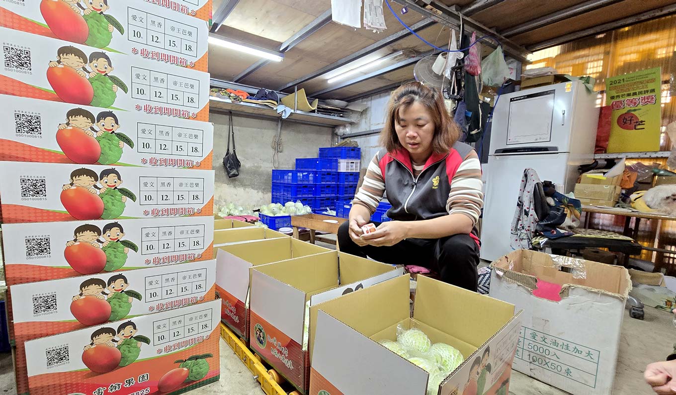 楠西災後02》地震重創百果之鄉，果農：支持楠西水果，讓居民勇敢站起來's story cover image