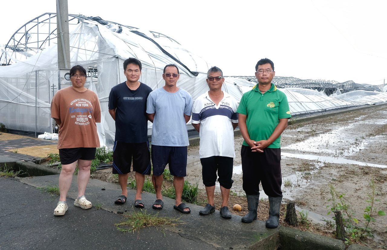 丹娜絲 0709》風雨摧不垮的農業夢，太保農民互相撐住不放手's story cover image