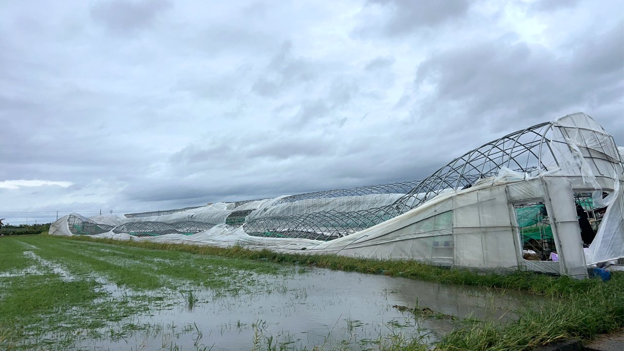 丹娜絲颱風0707》強風橫掃雲嘉沿海，五成溫室倒塌、八成牡蠣流失，損失慘重's story cover image