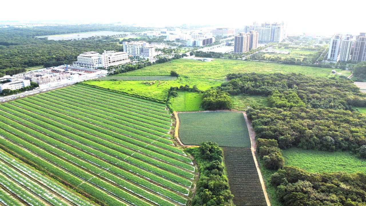 沙崙農場 01》上千公頃農地，成土地炒作開發戰場，從綠能園區到國科會圈地，30年不停歇's story cover image