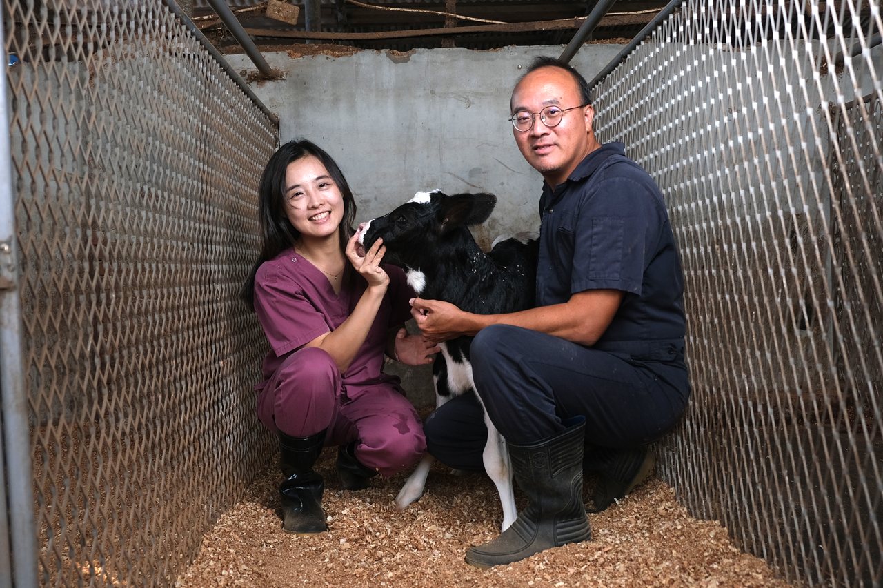 從一杯鮮奶到一座永續之鄉，桂芳牧場以科技解題，讓人、牛與柳營土地共好's story cover image