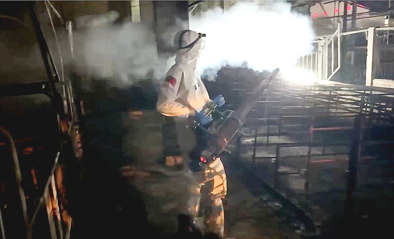 非洲豬瘟Day11》豬場環境髒亂不違法，豬糞恐成風險來源，全國廚餘去化需通盤政策's story cover image