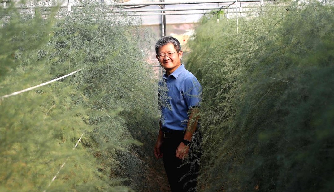 嘉義老人鄉逆襲，陳梧桐返鄉創蘆筍經濟，生鮮讓利農民，邊角料開發生技財's story cover image