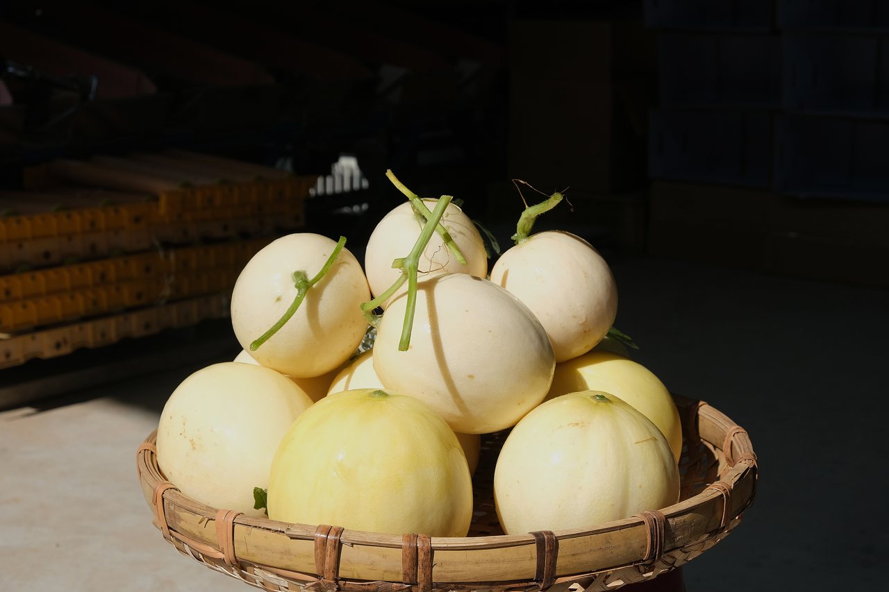 雙甜瓜閃耀登場，「天使」清新超甜，「星澄」亮麗驚艷，高雄特有，搶攻冬春市場's story cover image