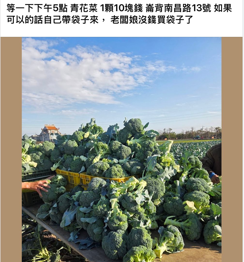 青花菜崩盤01》政府獎勵金催出海量青花菜，「冬菜夏用」政策執行落差，嚴重產銷失衡's story cover image