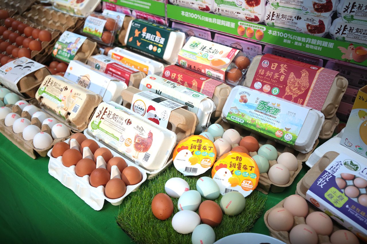 全球 2800 家企業廢除格子籠，台灣家樂福宣佈，2026年10月後不供應格子籠蛋's story cover image