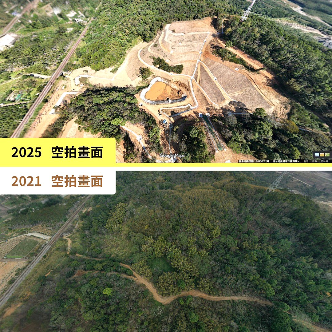 光電粗暴開發，八公頃石虎出沒森林遭剷除，石虎保育協會：亟需關注讓山林止血's story cover image