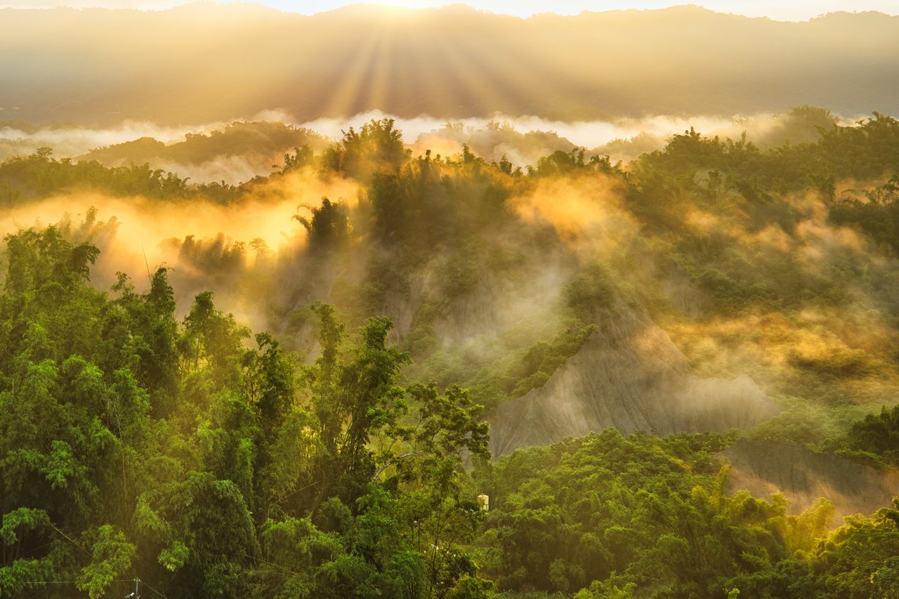 創生未必鹹魚翻生，他們在左鎮相擁微光，點亮全國第三老的小鄉鎮's story cover image