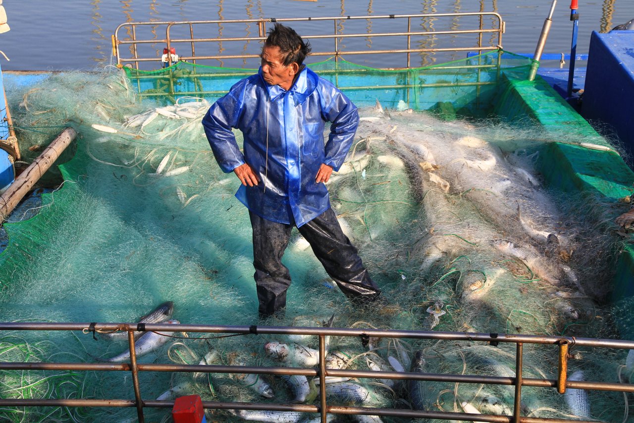 徐承堉／搶救烏魚，守護海洋信約─台灣烏魚產業的重生與永續宣言's story cover image