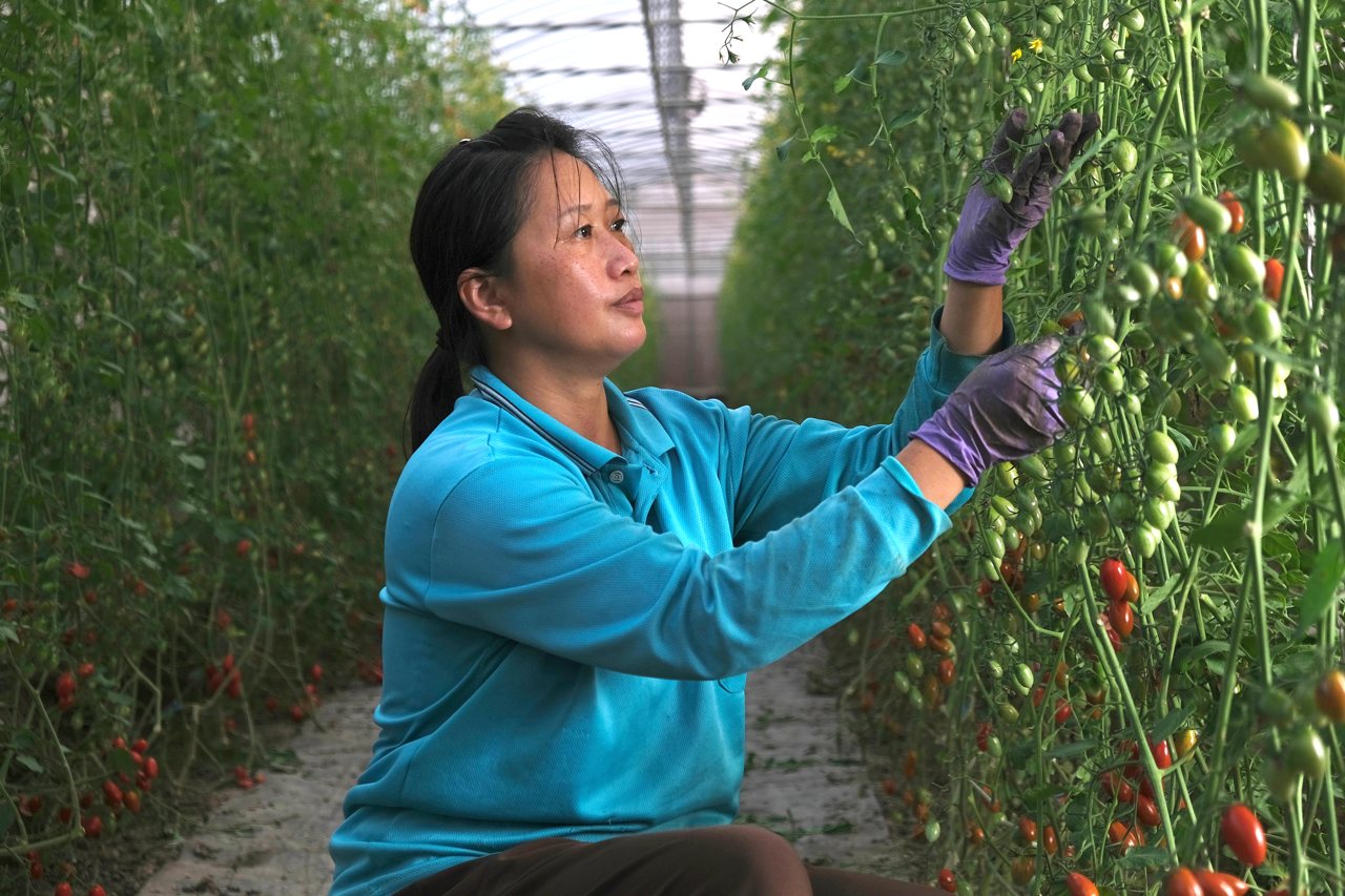 女農不是幫手，是專業合夥人，高嘉琪田間革命，打破「男主女輔」天花板