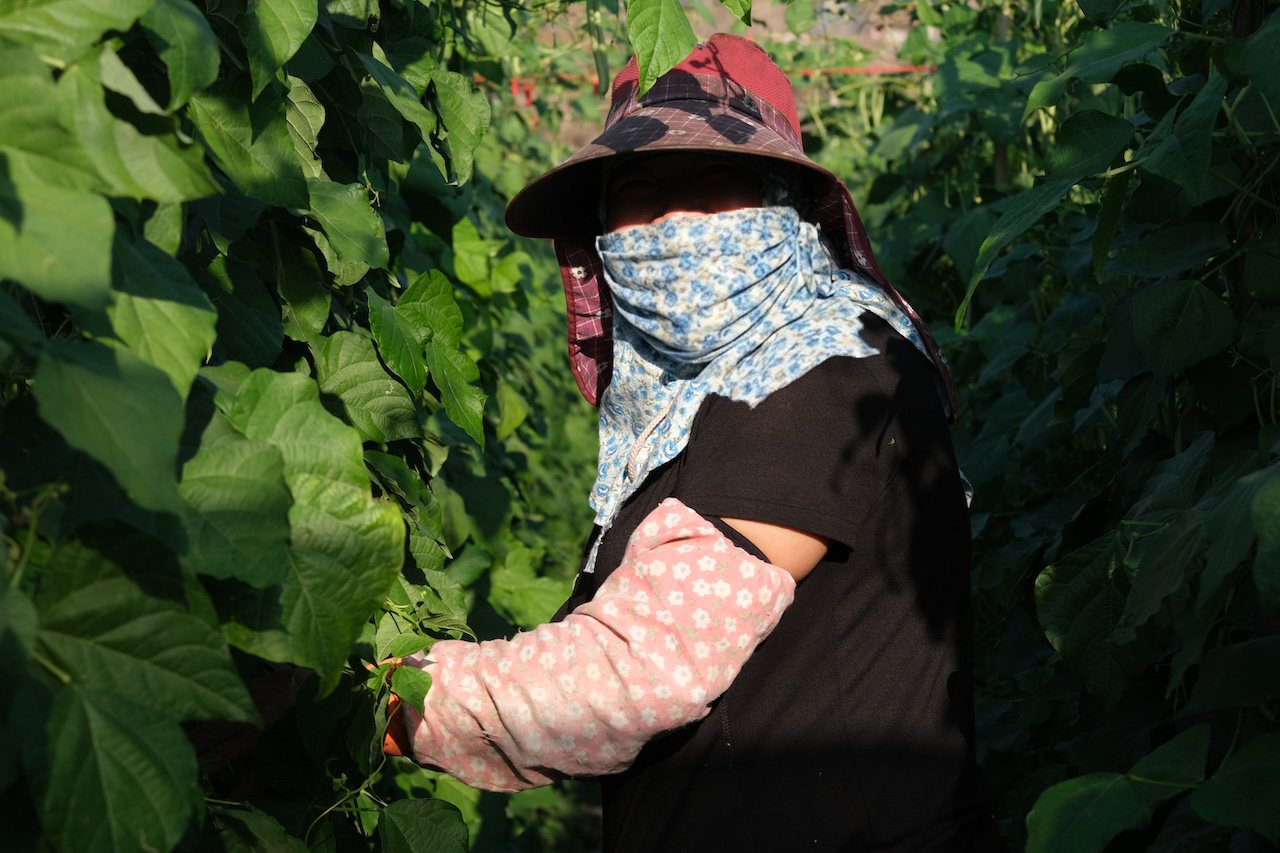 07 政策失靈》9.5 萬無證移工難追蹤，政策補破網成效不彰's story cover image