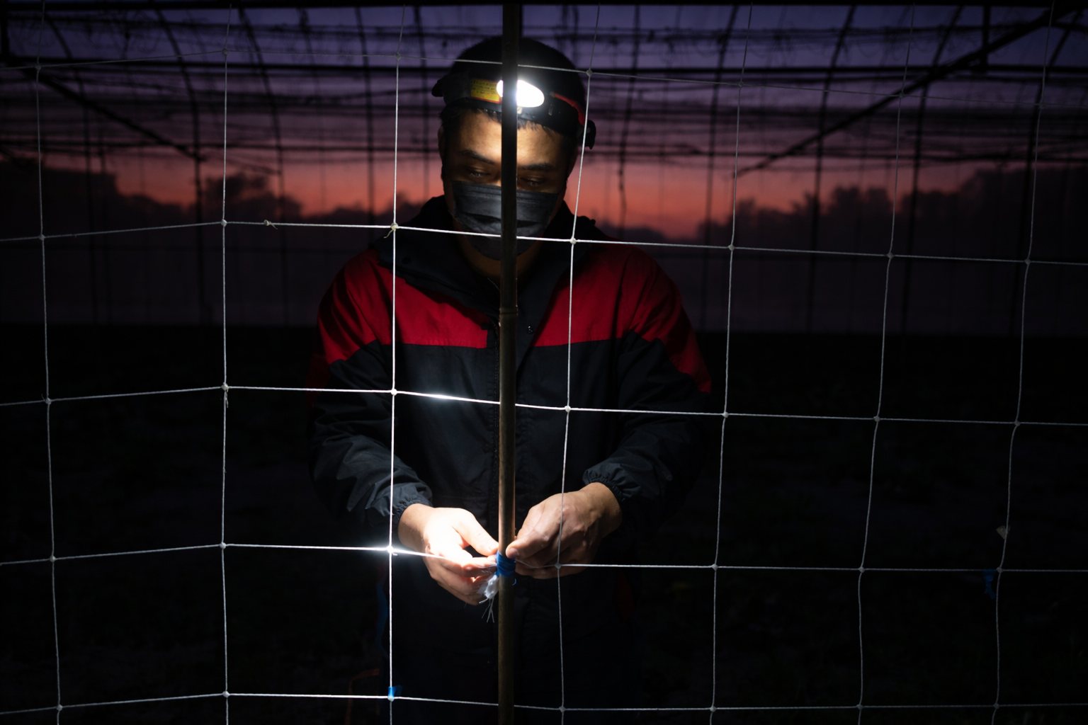 【評論】放任制度失靈、只剩粗暴抓捕：政府移工政策怠惰，加深仇視撕裂傷口's story cover image