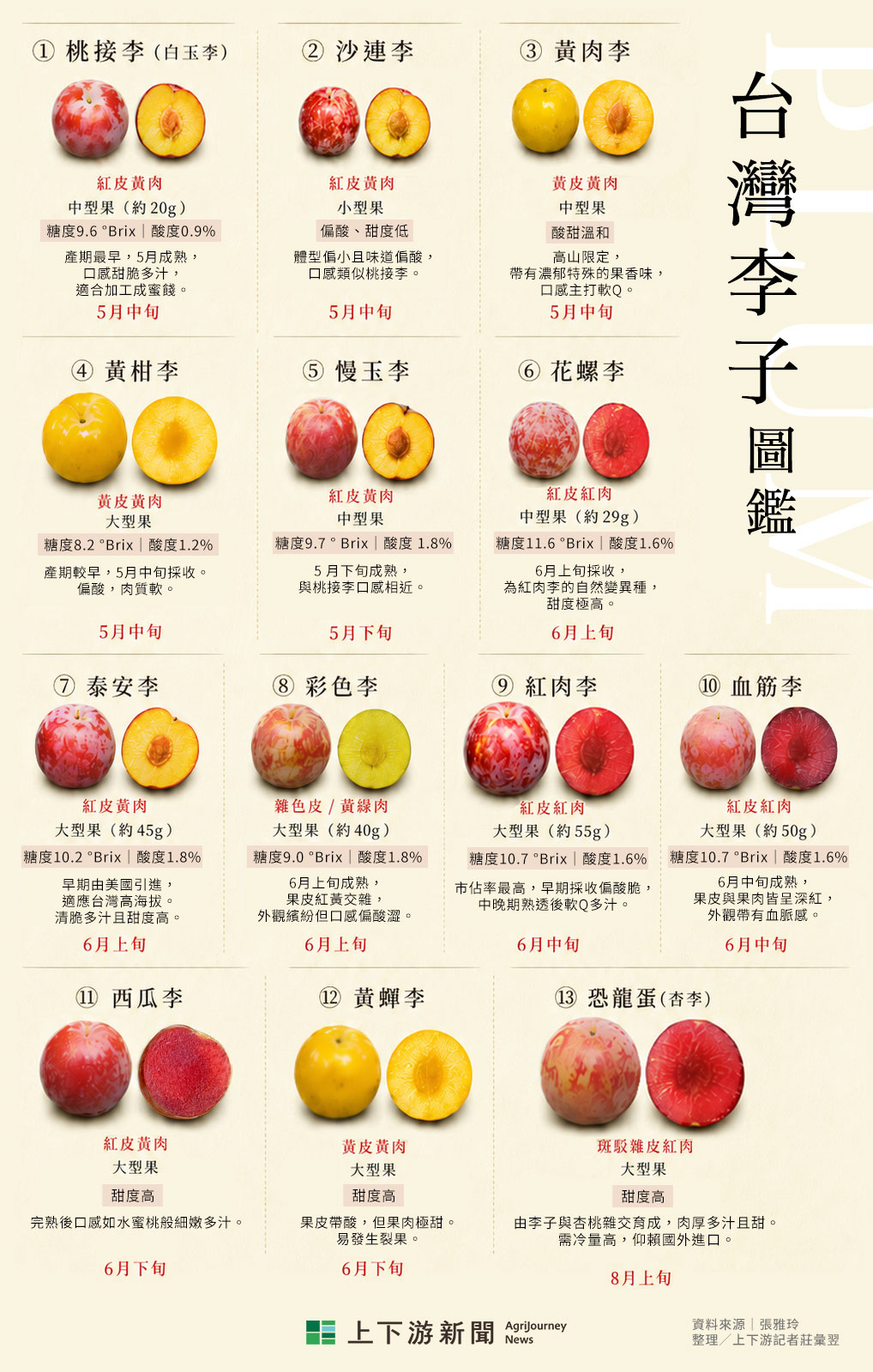 李子圖鑑》從經典紅肉到新潮恐龍蛋，高山西瓜李、黃蟬李，軟Q黃肉李，桃李真的滿天下