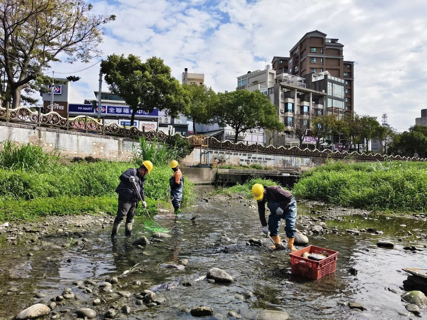 竹縣豆子埔溪枯水、低溫致魚群死亡 3水井全日挹注's OG Image