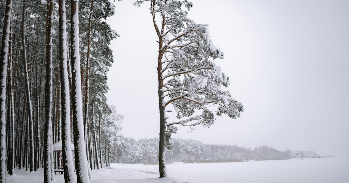 冬天太早來!異常降雪 巴爾幹半島積雪12公分's OG Image