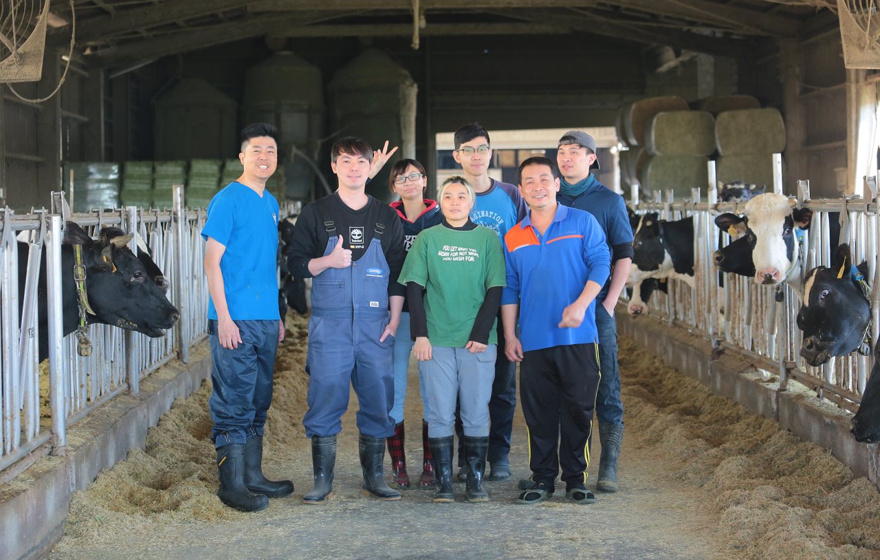 酪農不再孤軍奮戰,鮮乳坊進駐嘉明牧場,把家庭牧場變成專業團隊場's OG Image